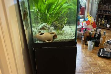 Aquarium 100 L Zolux