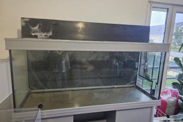 Aquarium 450L🎉prix donné