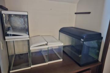Lot 3 aquariums 🎉 prix donné