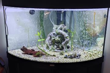 A vendre aquarium 200 litre d'angle avec son meuble