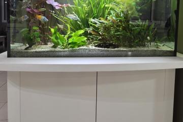 Aquarium à saisir