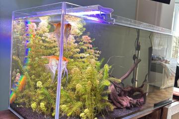 Aquarium Aquael 117 L – avec équipements et poissons