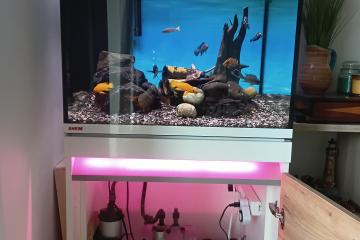 Aquarium avec meuble Eheim