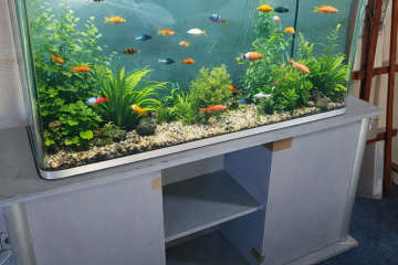 Aquarium 350L🎉+meuble gris