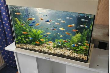 Aquarium 🎉136L +meuble blanc