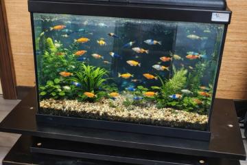 Aquarium 60L noir🎉prix donné