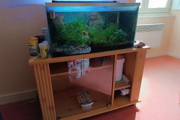 aquariums et matériel