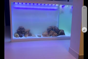 Aquarium en L