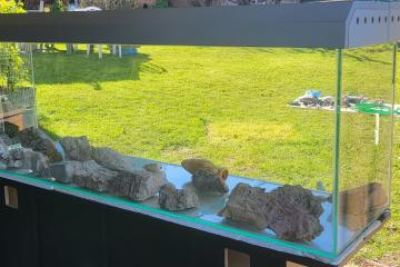 A vendre AQUARIUM 600 Litres
