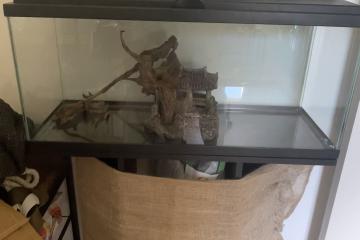 Aquarium 80 l avec son meuble