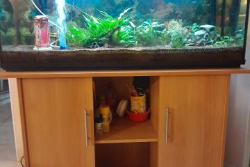 aquarium et son meuble