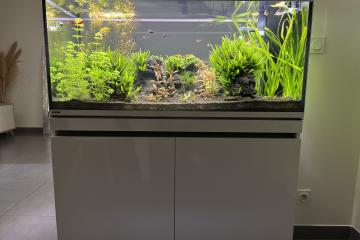 Aquarium EHEIM Incpiria 430 duo.