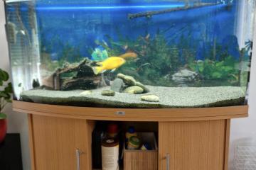 Aquarium + meuble