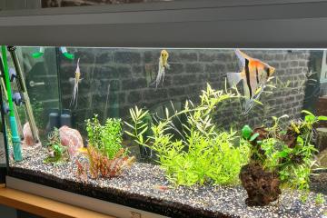 Aquarium aquatlantis