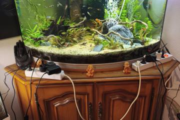 Aquarium aquatlantis
