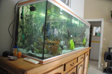 AQUARIUM 600L+MEUBLE COMPLET