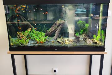 Aquarium JUWEL 360l