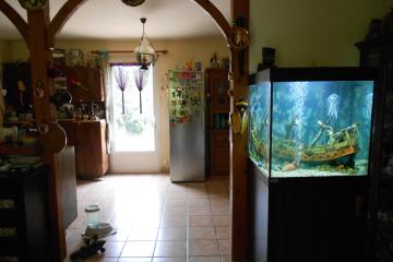 vente aquarium