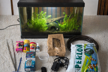 Aquarium 17l tout équipé crevettes escargots