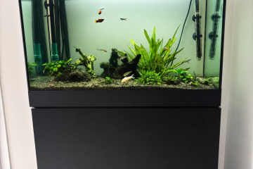Oase 120litres avec meuble et pompe EHEIM pro4+