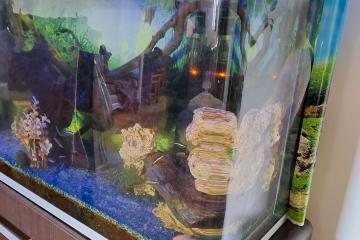 aquarium complet eau douce et chauffée
