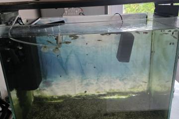 Aquarium 150l complet