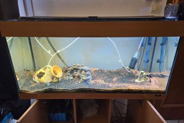 Aquarium 160–200 L complet avec meuble + matériel (fonctionnel)