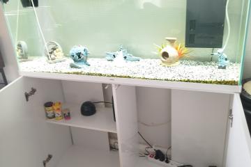 Aquarium et meuble ciano