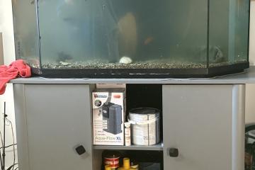 Vend aquarium