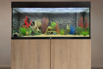 Aquarium Juwel 240L + accessoires