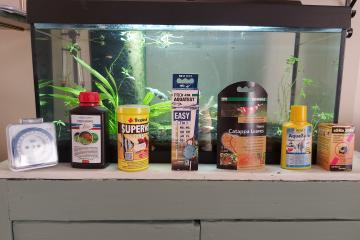 Vend aquarium rayé proche Lyon (+ fond d'eau avec crevettes)  (L60xH30xP30)