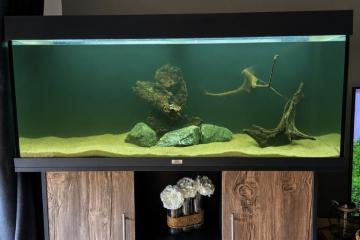 Aquarium Juwel Rio 240L