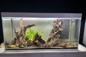 Aquarium