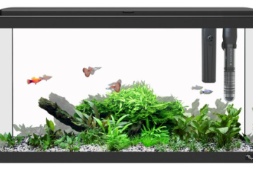 Aquarium 54L