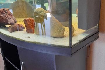 Aquarium 400 litres