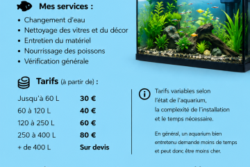 Entretien d'aquarium à domicile