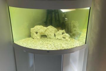 Aquarium Juwel trigon 190 angle avec meuble Blanc + pompe Eihem Pro 3 1250 L/h + accessoires