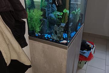 Aquarium