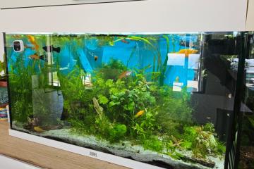 Aquarium juwel rio 125l