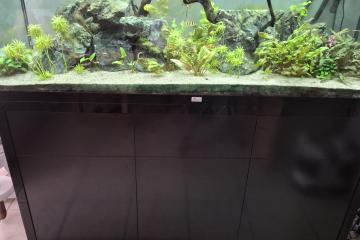 Aquarium aquatlantis sublime ultra + meuble